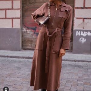 Zara Chocolate Knit dress